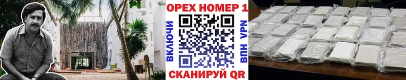 COCAIN Fish Scale  Купить  Салехард 