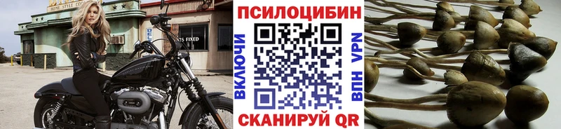 Купить  Салехард  Галлюциногенные грибы Psilocybine cubensis 